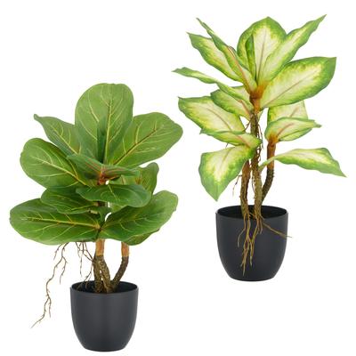 Kunstpflanze CREATIV GREEN "Ficus und Dieffenbachia", grün, H:34cm, Kunststoff, Kunstpflanzen, Kunstpflanze, mit Luftwurzeln