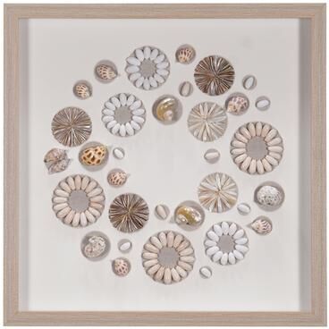 HUJI Assorted Natural Shells Shadow Box Wall Decor Wall Art