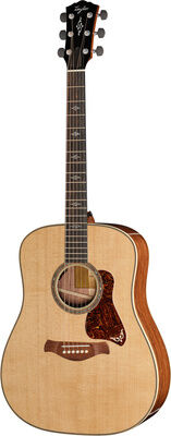 Taylor Gold Label 810e Natur Hochglanz