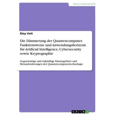 Die Dämmerung der Quantencomputer. Funktionsweise und Anwendungshorizont für Artificial Intelligence, Cybersecurity sowie Kryptographie, Taschenbuch