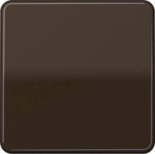 Jung Wippe br CD 590 BR