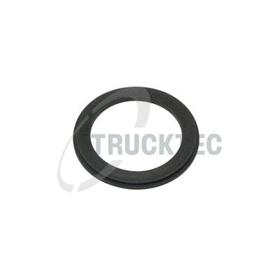 TRUCKTEC AUTOMOTIVE Distanzscheibe, Bremswelle 0532007 für Mercedes MAN