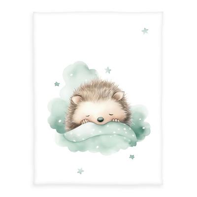 Klaus Hering 1440292014 - babybest® Microfaserflausch-Decke, Kleiner Igel, 75x100 cm