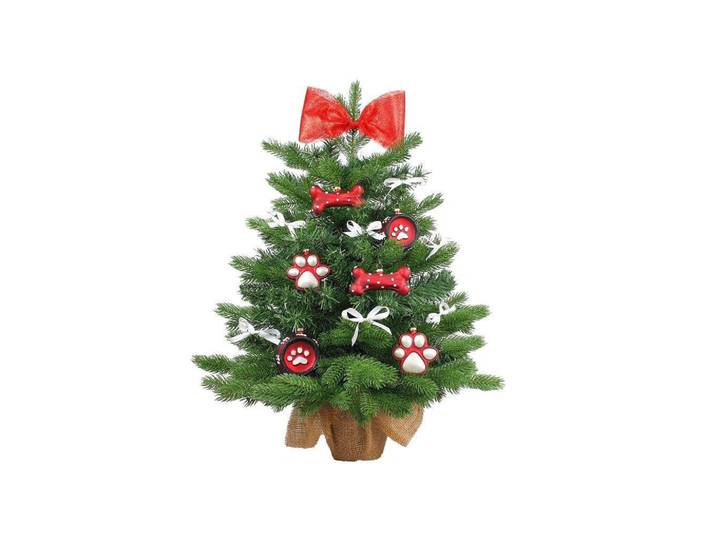 Laalu Weihnachtsbaum künstlicher 60 cm mit LED-Beleuchtung, Hundefreude, mit 14 Weihnachtsbaumschmuck, Pflanztopf mit Jutesack, Grün, Weiß, Rot, Silberfarben, Stein, Kunststoff, Tanne, Freiform, 60 cm, Dekoration, Weihnachtsdekoration, Christbäume & Zubehör