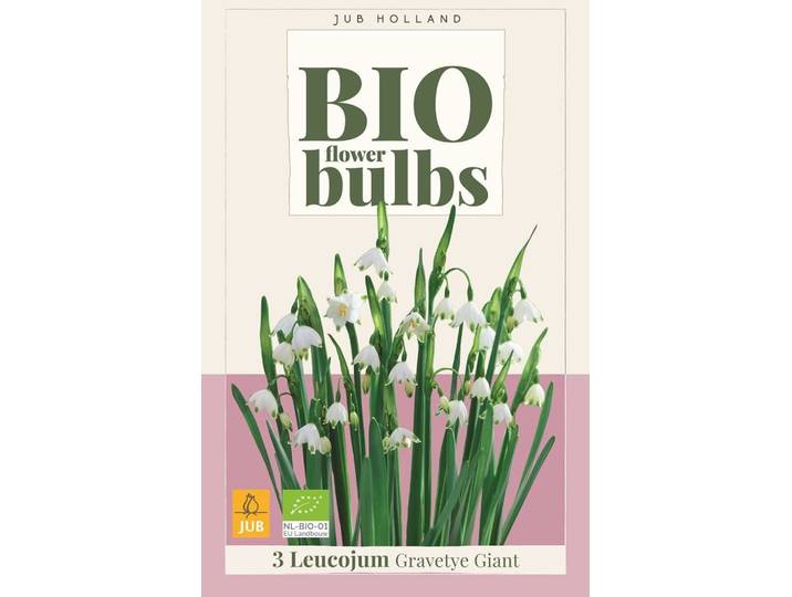 Bio leucojum gravetye giant 3 bollen
