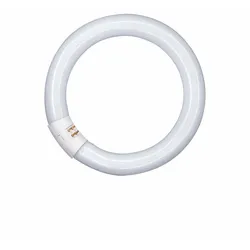 Osram Leuchtstoffröhre LUMILUX C - T9, 865 Tageslicht - 32W