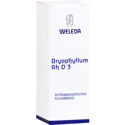 Bryophyllum Rh D 3 20 ML