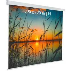 KIMEX - Motorisierte Leinwand 2,20 x 2,20m - Format 1:1 - Weißes Tuch