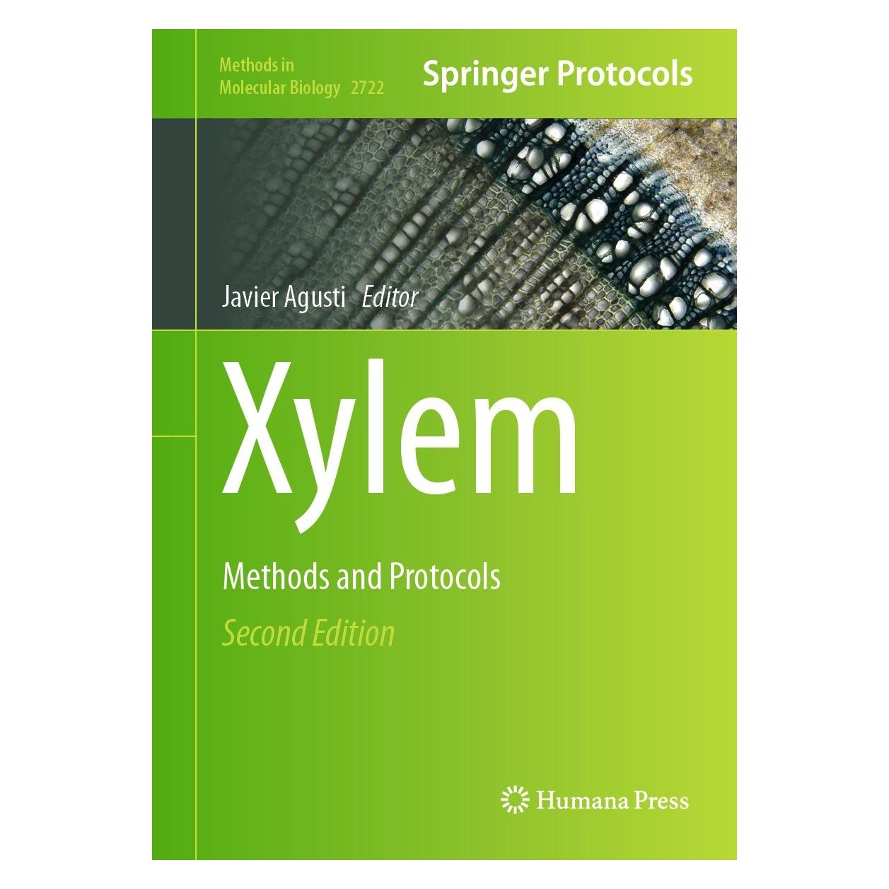 Springer Xylem (Englisch, Hardcover, Javier Agusti) (9781071634769)
