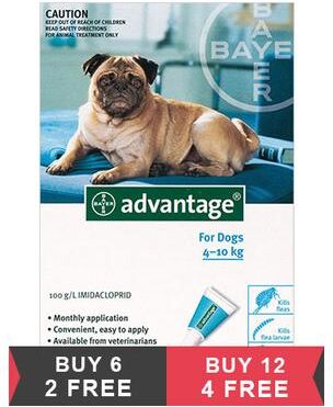 Advantage Medium Dogs 11-20lbs (Aqua) 4 Doses