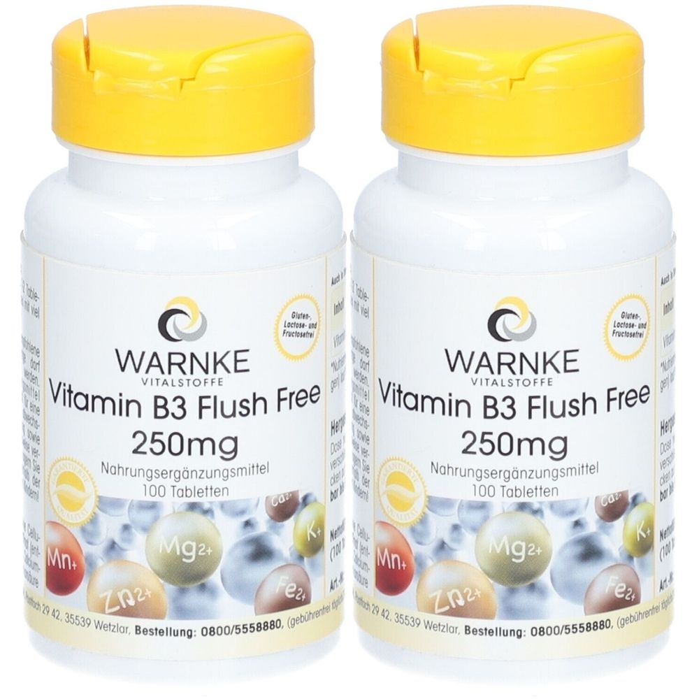 Vitamin B3 Flush Free 250 mg Tabletten 2x 2x100 St