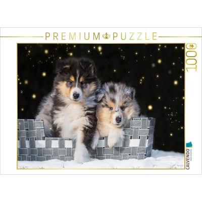 CALVENDO Puzzle Colliewelpen | 1000 Teile Lege-Größe 64x48cm Foto-Puzzle für glückliche Stunden
