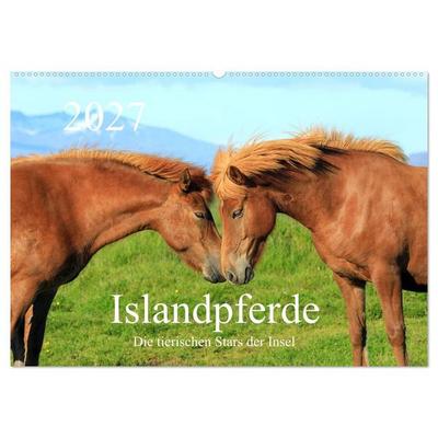Islandpferde - Die tierischen Stars der Insel (Wandkalender 2027 DIN A2 quer), CALVENDO Monatskalender