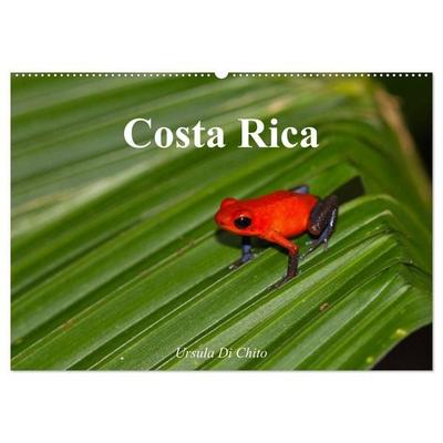 Costa Rica (Wandkalender 2027 DIN A2 quer), CALVENDO Monatskalender
