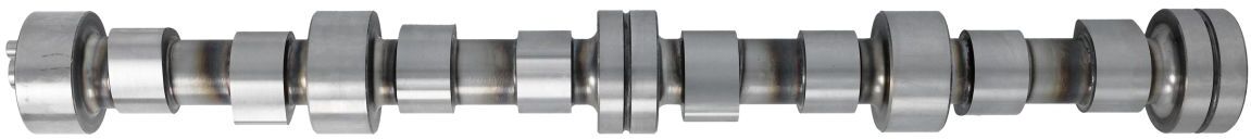 Nockenwelle BF 20100208342