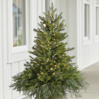Christmas Spruce Tree Urn Filler With Overflow - Grandin Road