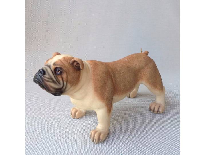 Grand modèle de bouledogue en résine, 18x31cm, artisanat, décoration de la maison, cadeau a2007