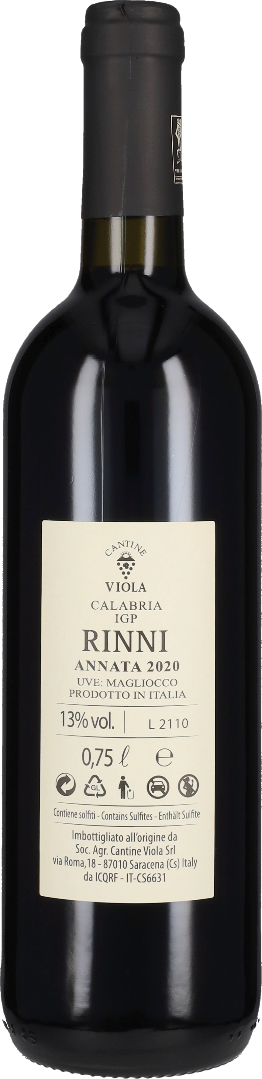 Magliocco 'Rinni' Cantine Viola 2020