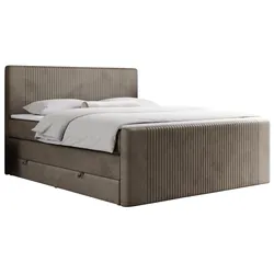 BOXSPRINGBETT KING DOREN 140/200 Braun Velvet - H3