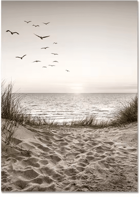 Inspire Curations Nordic Beach Dandelion Canvas Wall Art Minimalist Coastal Home Decor 7 30x40cm
