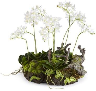 Porch & Petal "Mini Dendrobium With Rustic Drop-In 16"""