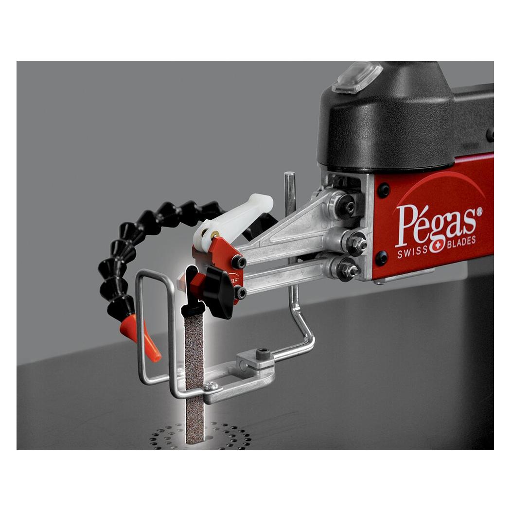 Pegas Schleifbänder (90.6-SET)