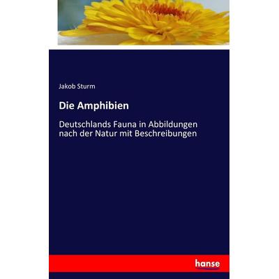 Die Amphibien, Taschenbuch von Jakob Sturm, Hansebooks, 978-3-7428-3566-6
