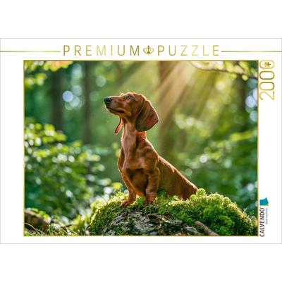 CALVENDO Puzzle Neugierig ins Glück | 2000 Teile Lege-Größe 90x67cm Foto-Puzzle für glückliche Stunden