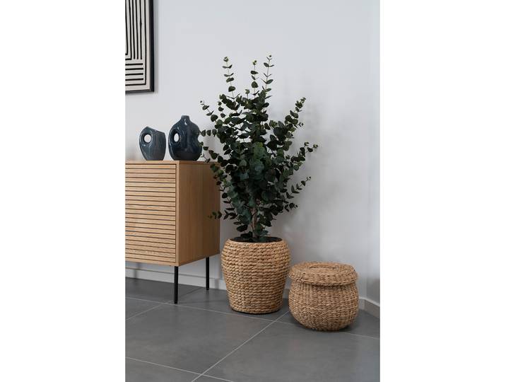Kunstpflanze EucalyptusTree 46 x 120 x 36cm