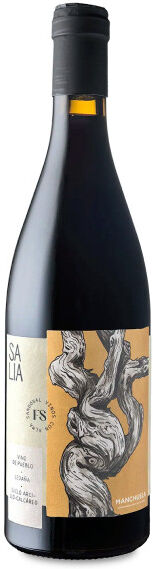 Salia de Finca Sandoval 2024