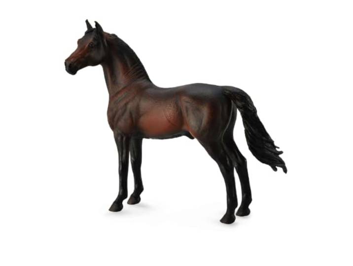 Collecta col88646 – ETALON volbloed Morgan – maat XL