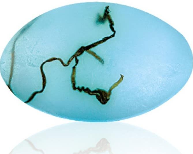 energy Jabón glicerina Spa 90 g