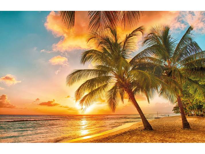 Fototapete PAPERMOON Barbados Palm Beach , bunt, B:3,5m L:2,6m, Vlies, Tapeten, Fototapete
