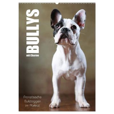 Bullys mit Charme - Französische Bulldoggen im Portrait (Wandkalender 2027 DIN A2 hoch), CALVENDO Monatskalender