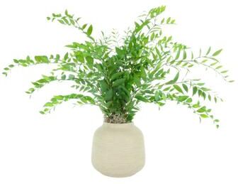 Creative Labs Bayberry Leaf in Fiberstone Vase