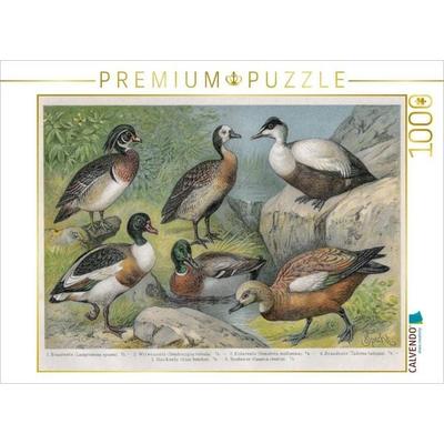 CALVENDO Puzzle Enten, Künstler: Friedrich Specht (1839-1909) | 1000 Teile Lege-Größe 64x48cm Foto-Puzzle für glückliche Stunden