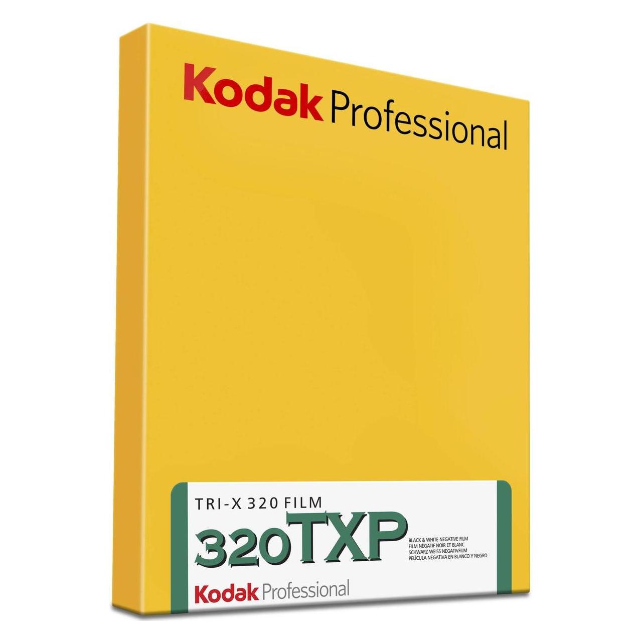 Kodak TRI-X 320 4x5" 10 Blatt (1006881)