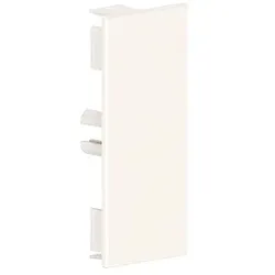 GGK LFG-Endplatte 40x90 ws 1087