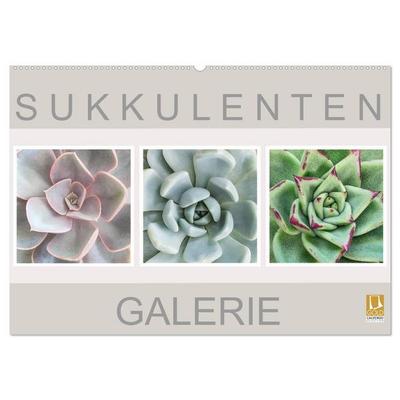 Sukkulenten Galerie (Wandkalender 2026 DIN A2 quer), CALVENDO Monatskalender