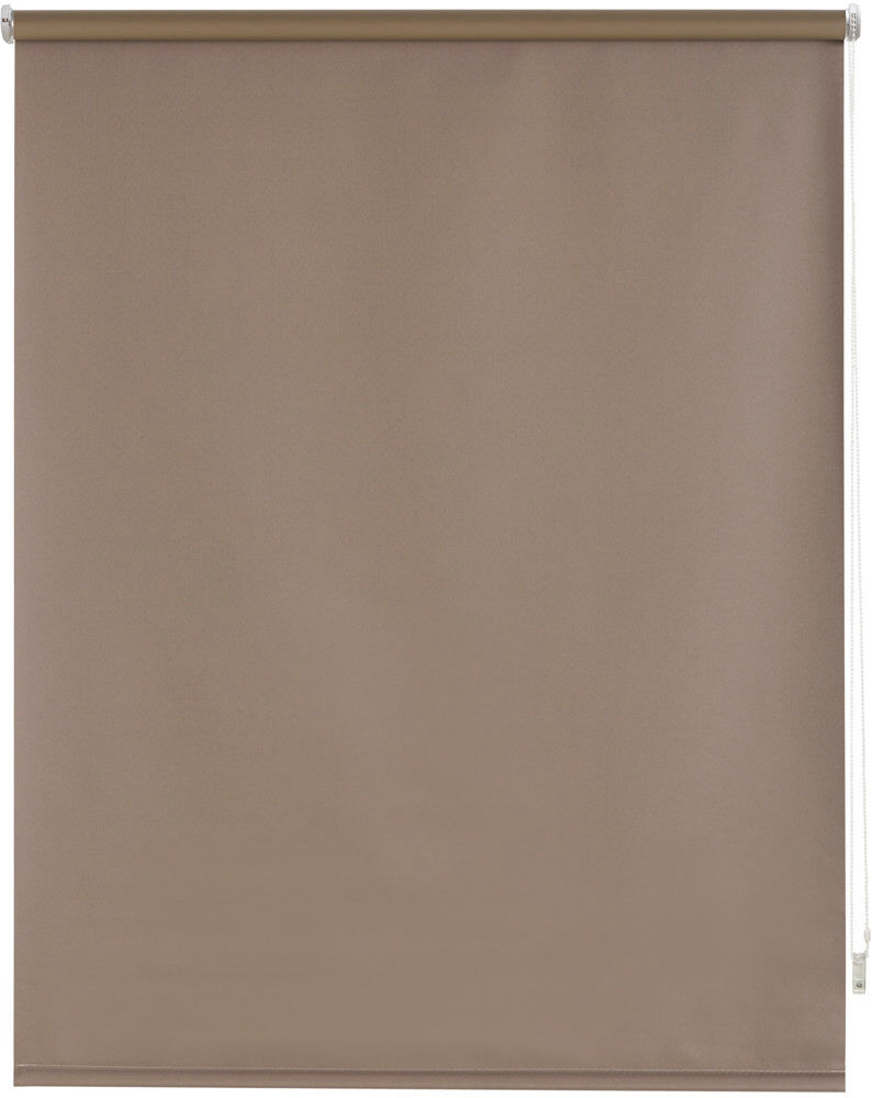 Latitude Run Blackout Roller shade Taupe 230 cm L x 140 cm W