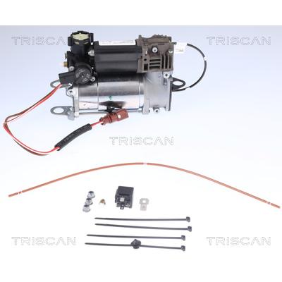 TRISCAN Kompressor, Druckluftanlage 872529101 für Audi