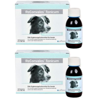 Reconvales Tonicum für Hunde 2x 2x6x90 ml Tonikum