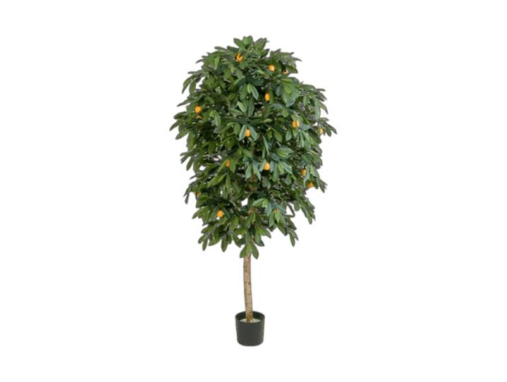 Lebensechte Kunstpflanze „Citrus Mandarine“, verschiedene Grössen Cream Baq Design