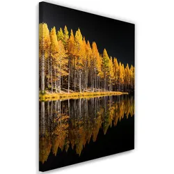 WANDBILD goldener wald herbstsee naturbäume