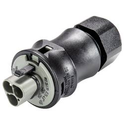 Wieland Electric 96.032.4154.3 Steckverbinder