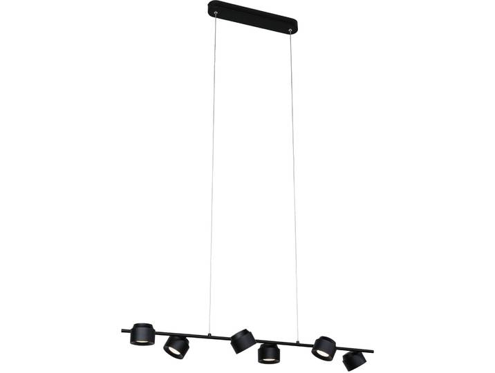 Paulmann LED Pendelleuchte Puric Pane