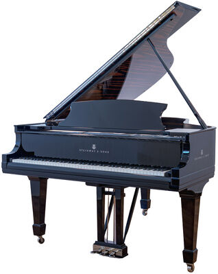 Steinway & Sons L Onyx Duet Grand Piano