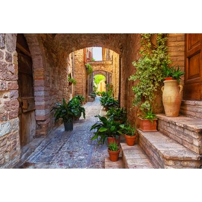 Fototapete PAPERMOON "Ancient City Spello Umbria", bunt, B:2,5m L:1,86m, Vlies, Tapeten
