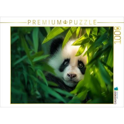 CALVENDO Puzzle Bambus zuerst | 1000 Teile Lege-Größe 64x48cm Foto-Puzzle für glückliche Stunden