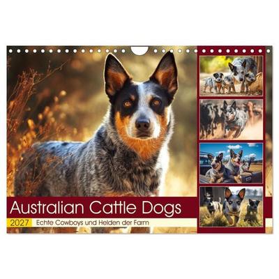 Australian Cattle Dogs. Echte Cowboys und Helden der Farm (Wandkalender 2027 DIN A4 quer), CALVENDO Monatskalender